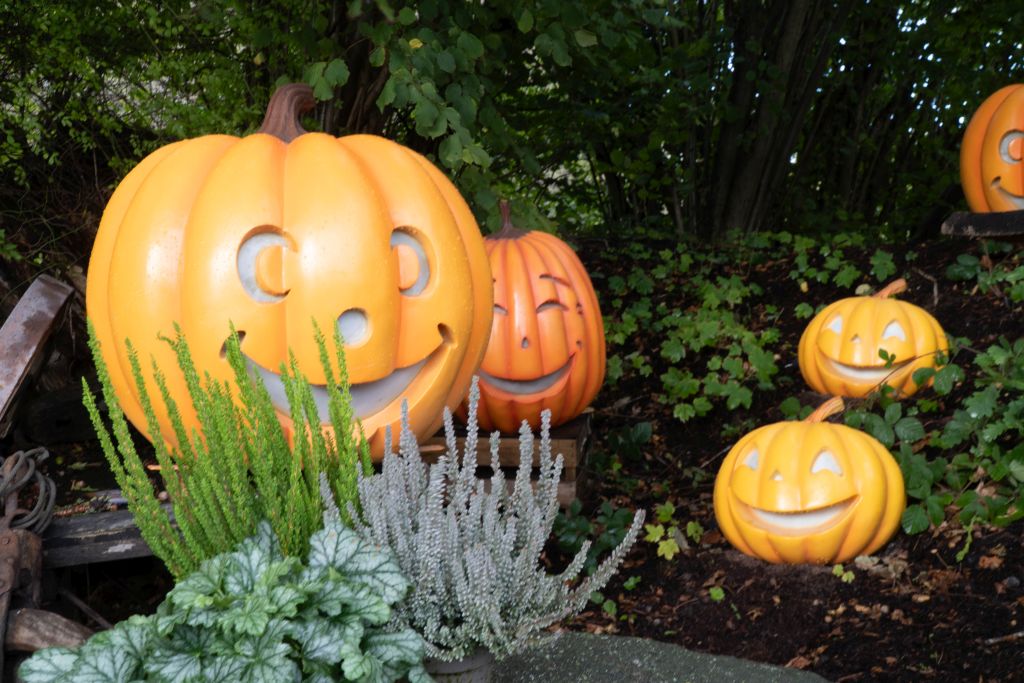 HANSA-Park: The Most Charming Harvest Celebration