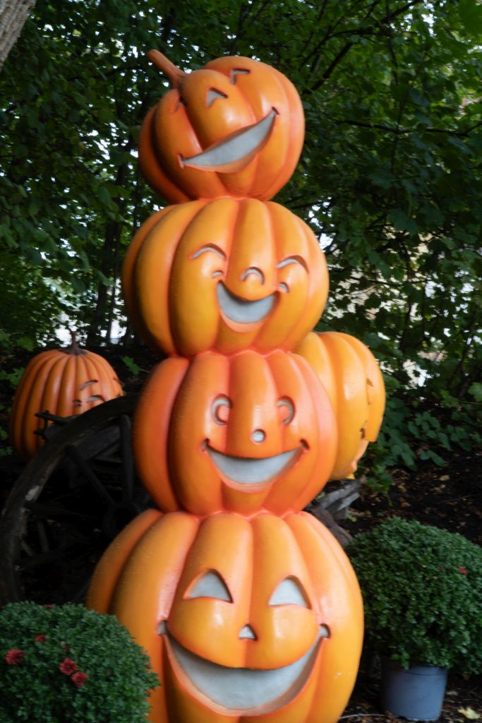 HANSA-Park: The Most Charming Harvest Celebration