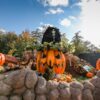 Taunus Wunderland: Halloween 2025
