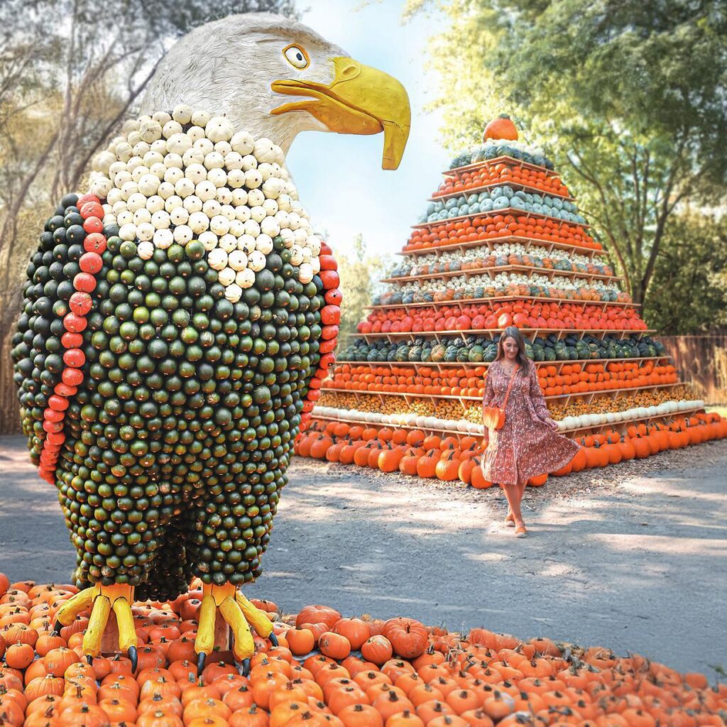 Freizeitpark Oskarshausen: Kürbiswelt