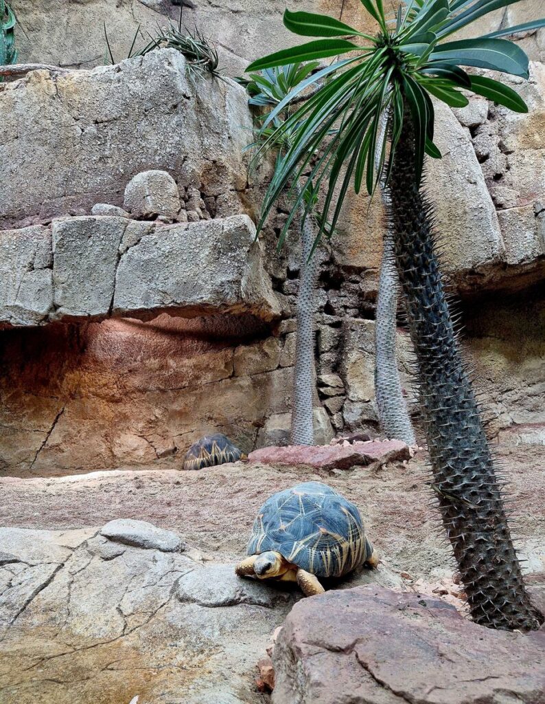 Zoo Leipzig: Terrarium