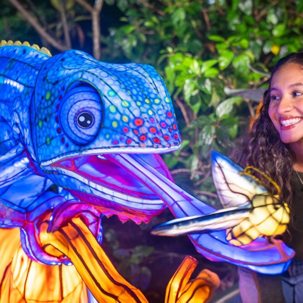 Aquatica Orlando: Illuminate