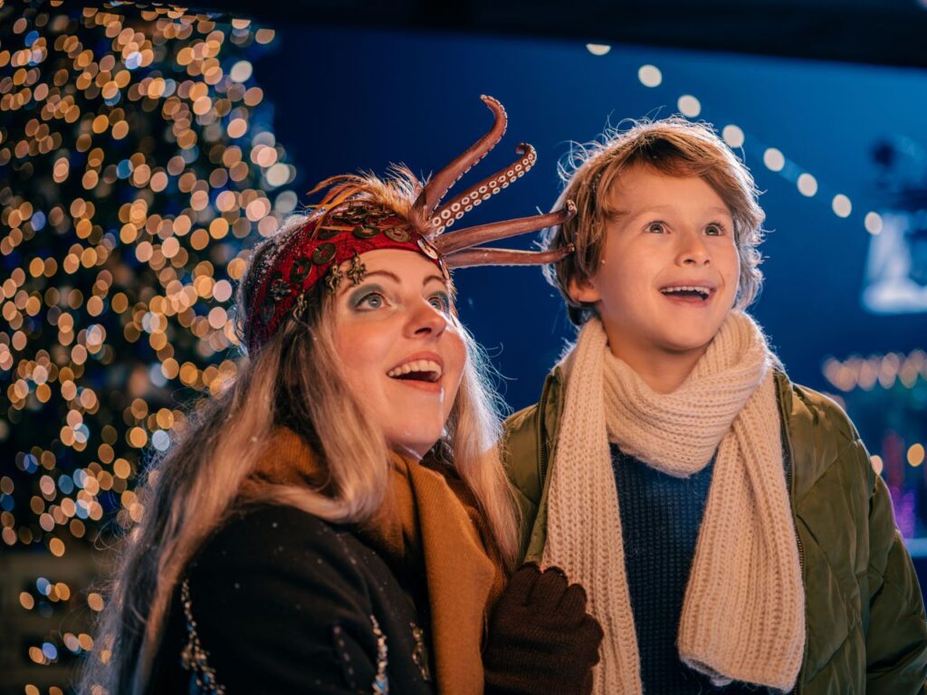 Toverland: Winter Feelings