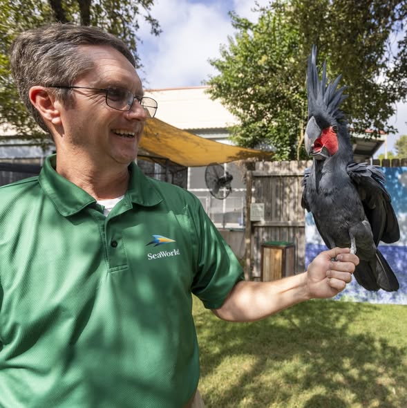 SeaWorld San Antonio: SeaWorld Inside Look