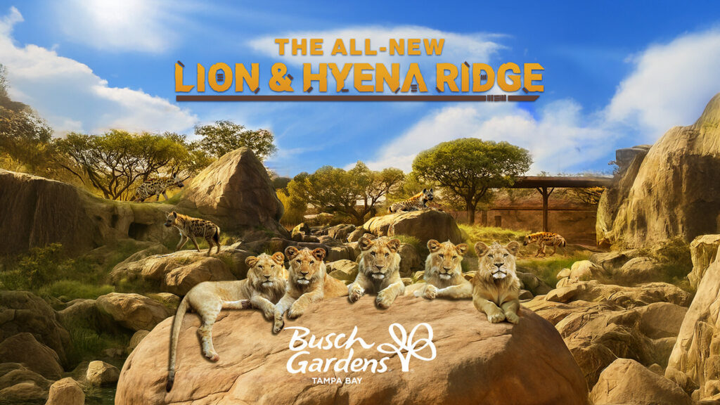 Busch Gardens Tampa Bay: Lion & Hyena Ridge