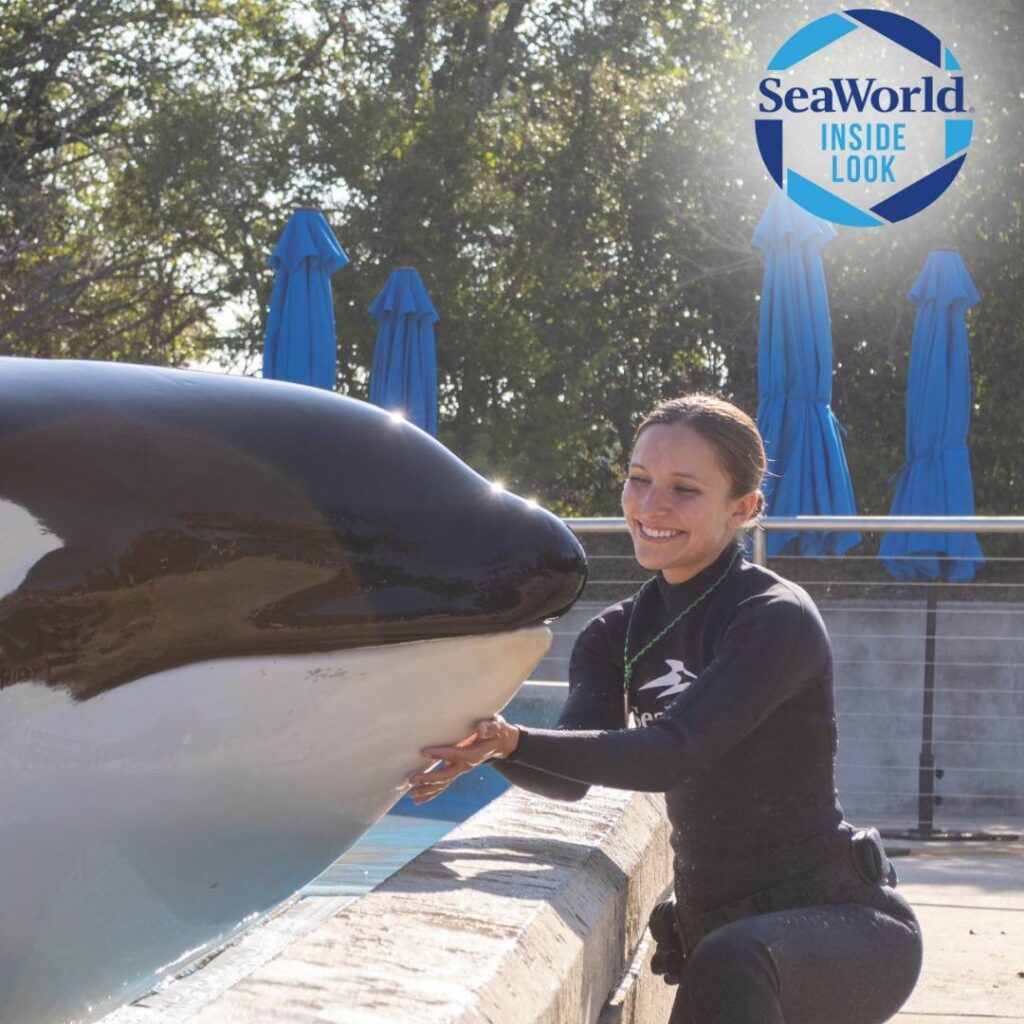SeaWorld San Antonio: SeaWorld Inside Look