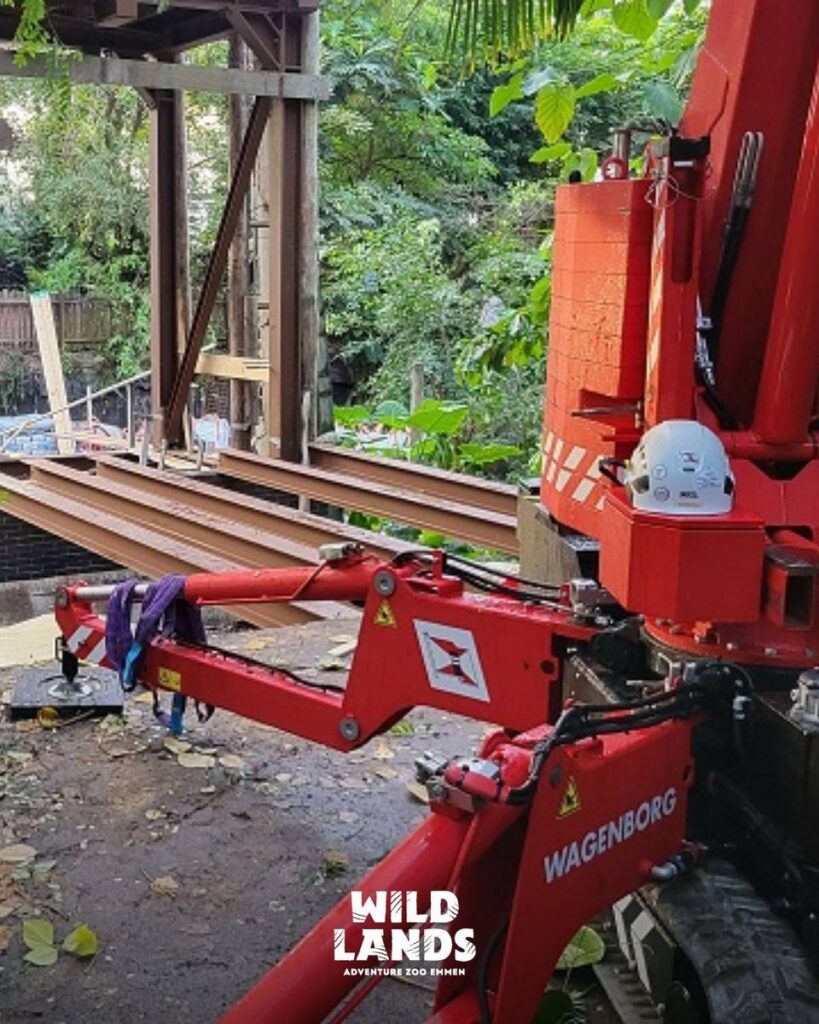 Wildlands Emmen: Rimbula