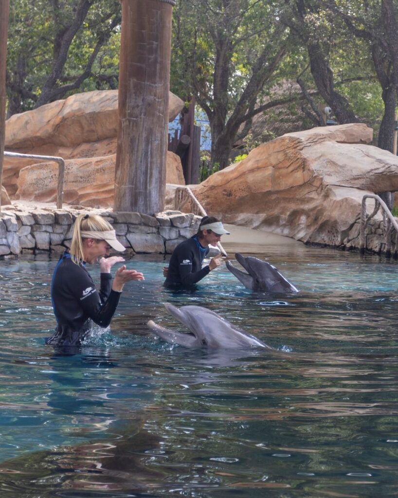 SeaWorld San Antonio: SeaWorld Inside Look