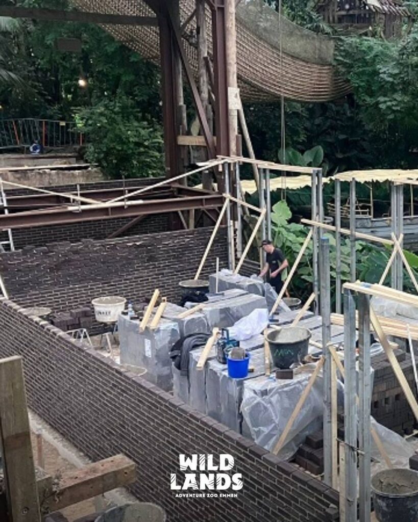 Wildlands Emmen: Rimbula