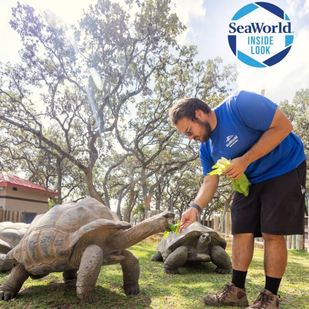 SeaWorld San Antonio: SeaWorld Inside Look