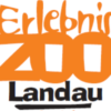 Zoo Landau: Flamingo-Anlage
