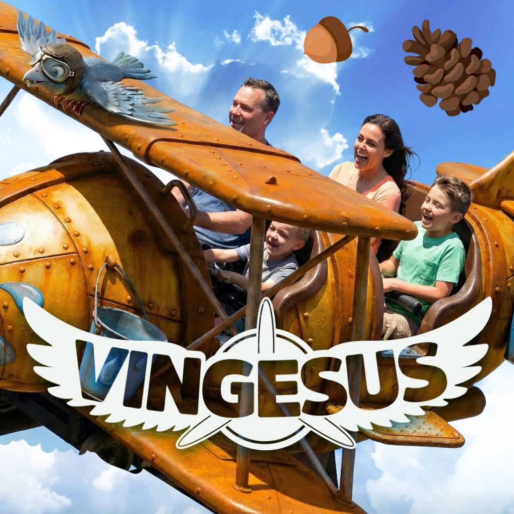 Fårup Sommerland: Vingesus