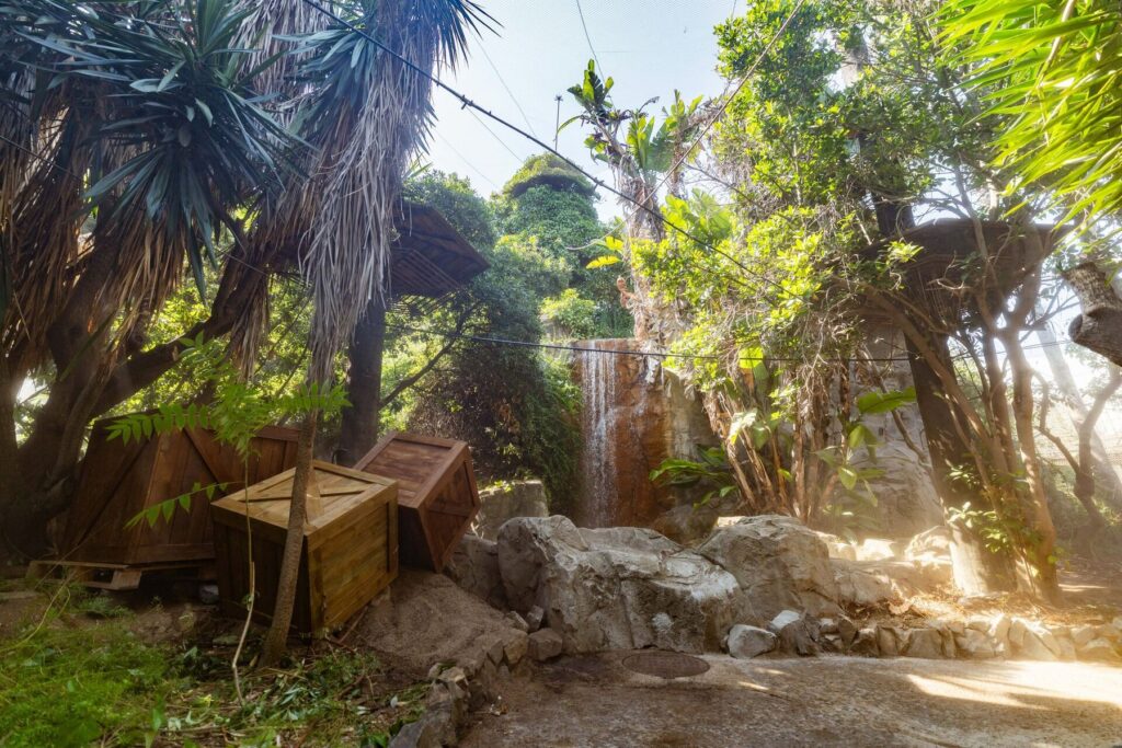 PortAventura: Makamanu Jungle - The Adventure Trek