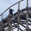 Six Flags Great Adventure: Änderungen Saison 2026