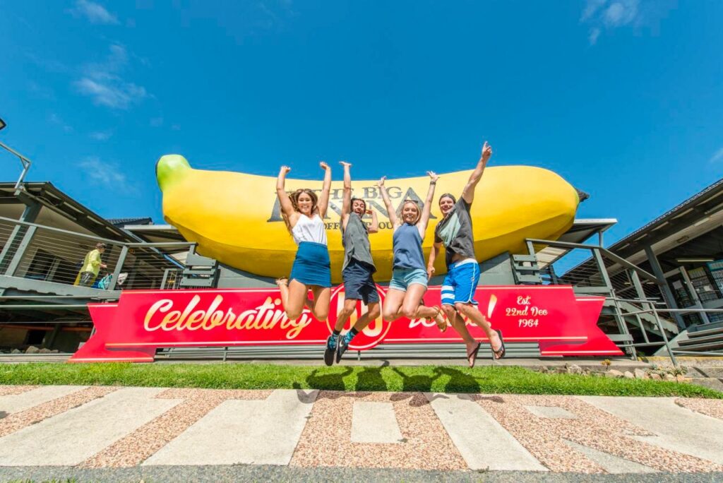The Big Banana Fun Park: Plantation Coaster