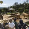San Diego Zoo: Elephant Valley
