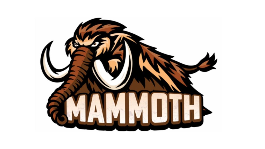 Fun-Plex Omaha: Mammoth