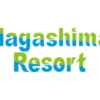 Nagashima Spaland: Wave Swinger