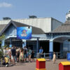Dolfinarium Harderwijk: Atlantis