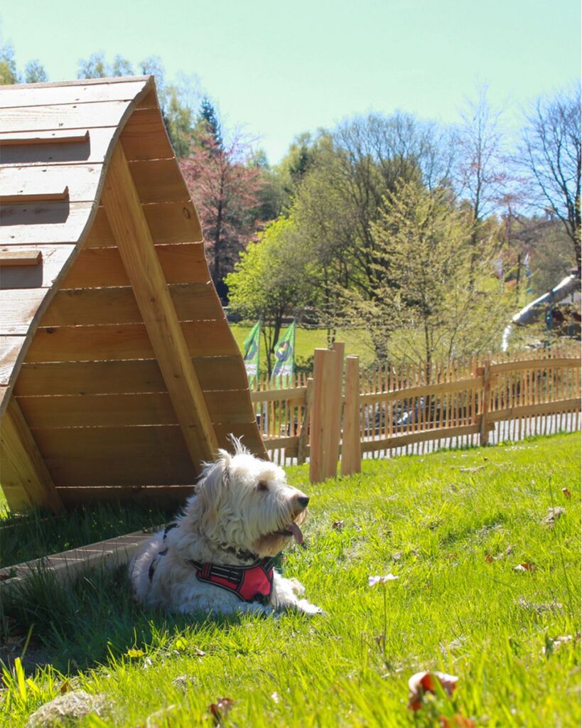 Fort Fun Abenteuerland: Speed Dog Arena