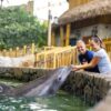 SeaWorld Abu Dhabi: SeaBloom Celebration