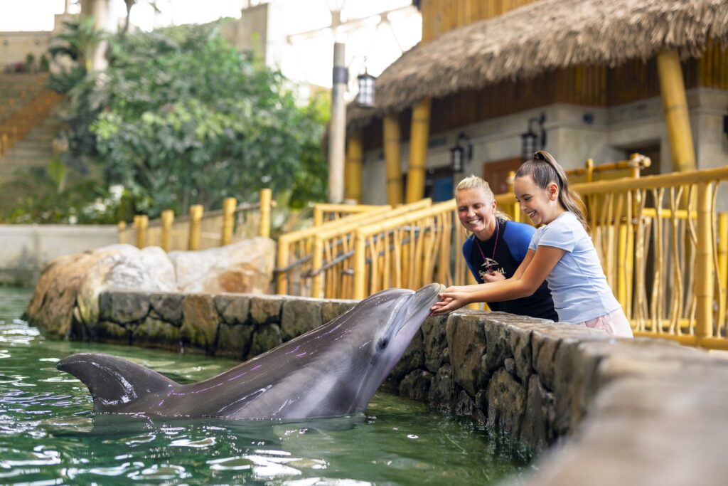 SeaWorld Abu Dhabi: SeaBloom Celebration