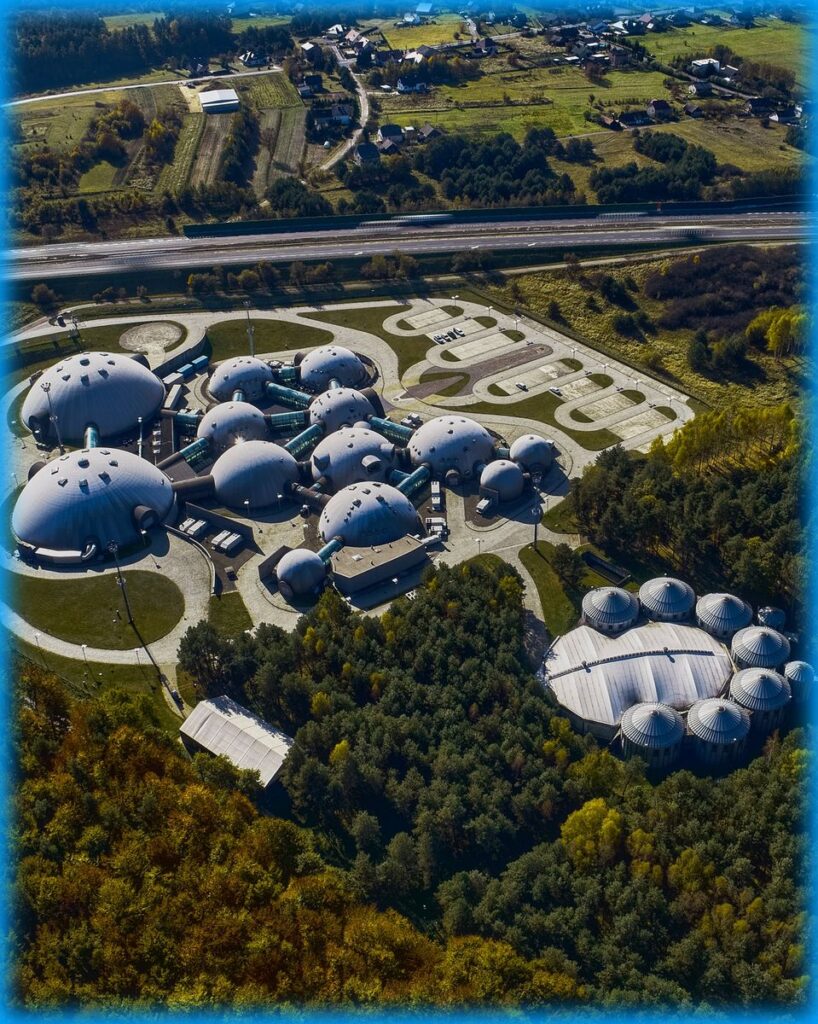 Alvernia Planet: One Step Beyond
