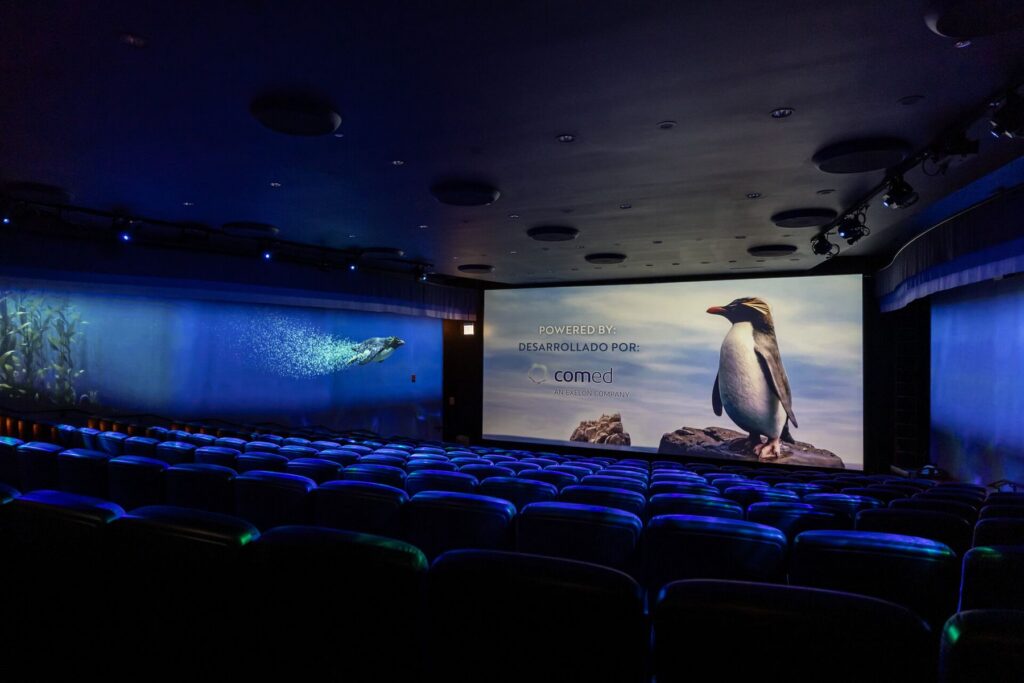 Shedd Aquarium: Immersion Theater