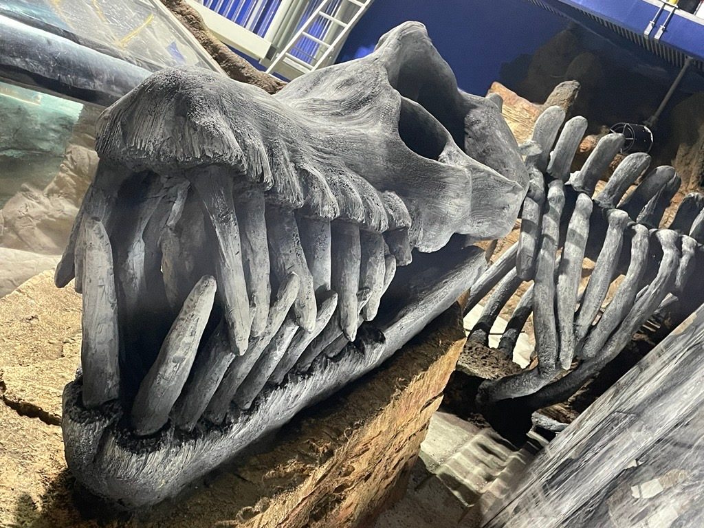 SEA LIFE Blackpool: Jurassic Underwater World