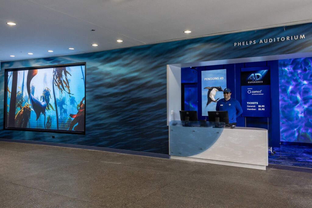 Shedd Aquarium: Immersion Theater