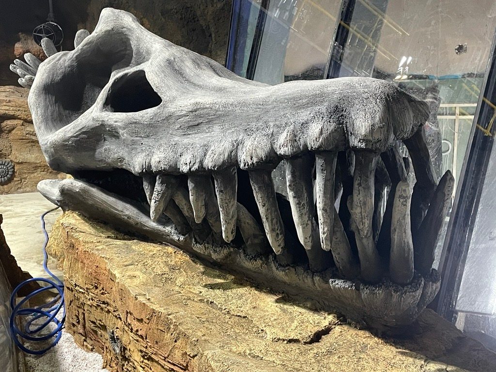 SEA LIFE Blackpool: Jurassic Underwater World
