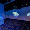 Shedd Aquarium: Immersion Theater
