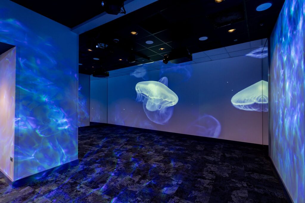 Shedd Aquarium: Immersion Theater