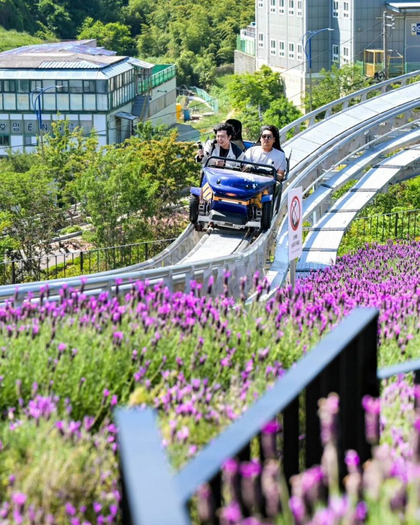 Wiegand: 2 neue CoasterKart-Strecken in Asien