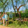 Bobbejaanland: Land of Dino's