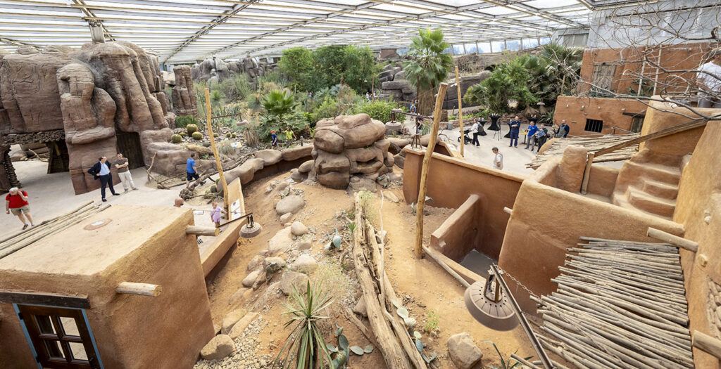Burgers' Zoo: De Desert