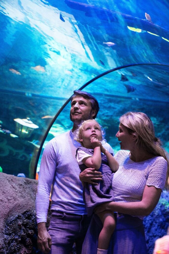 SEA LIFE Scheveningen: Wiedereröffnung