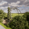 Steinhuder Meer: SkyLoop