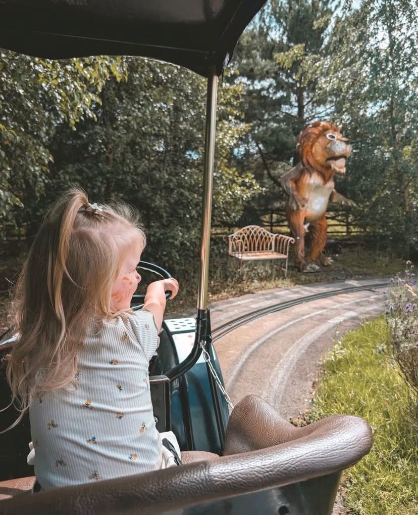 Lightwater Valley: Vintage Cars