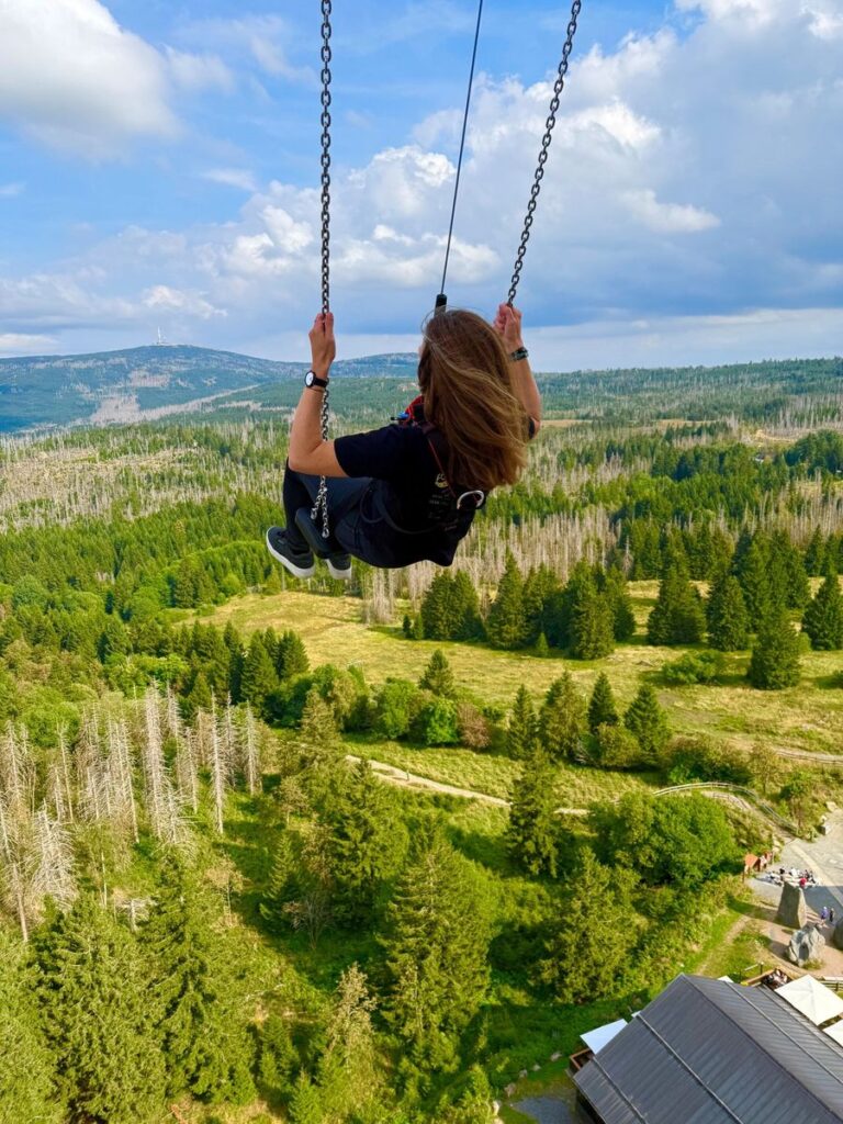 Harzturm: High Swing