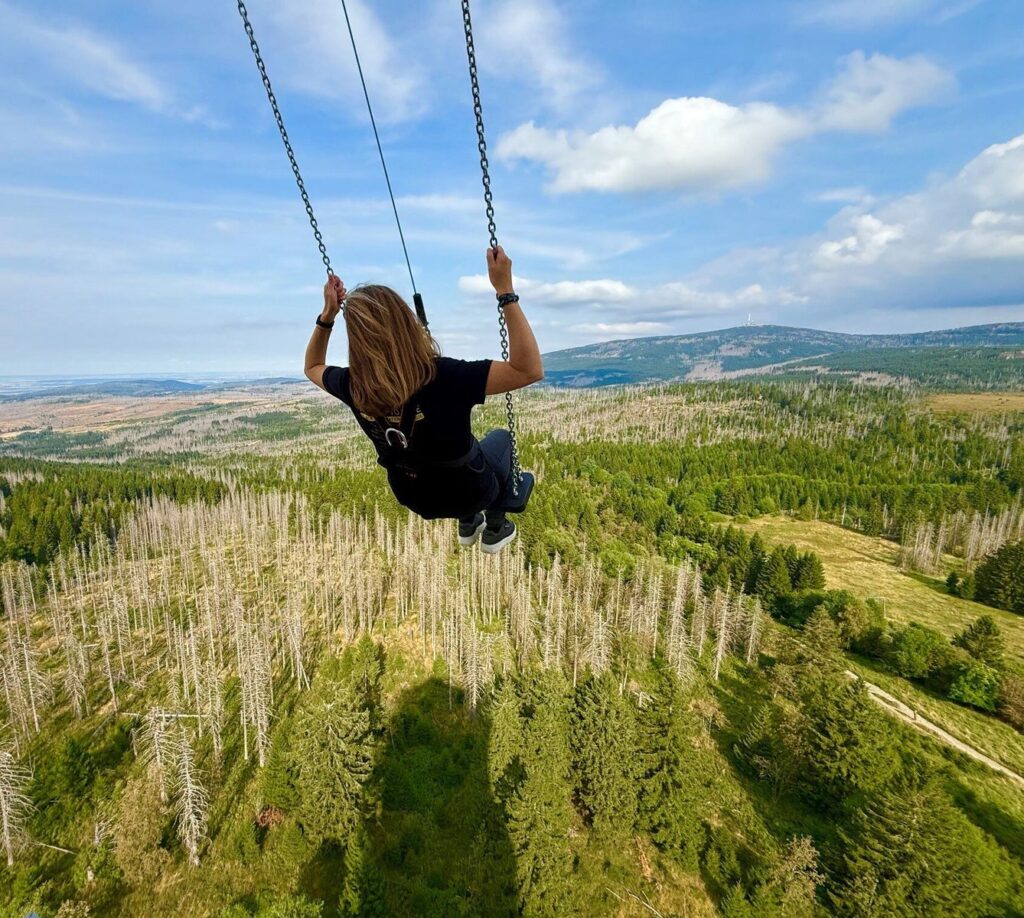 Harzturm: High Swing