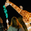 Zoo Schwerin: Wild Lights