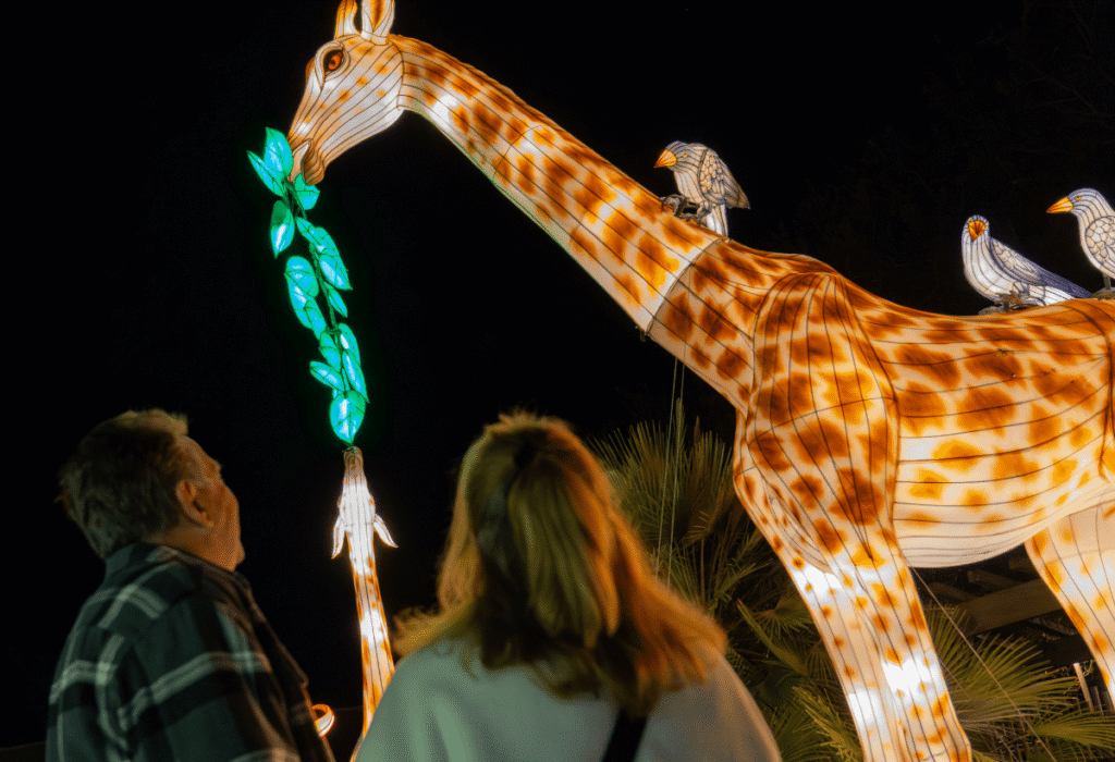 Zoo Schwerin: Wild Lights