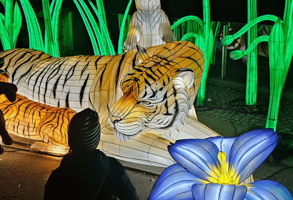 Zoo Schwerin: Wild Lights