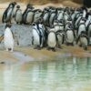London Zoo: Winnie Pooh-Abenteuerpfad