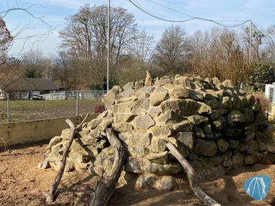 Foto aus Zoo Neuwied von Highnoon