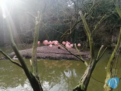 Foto aus Zoo d’Amnéville von Rolala