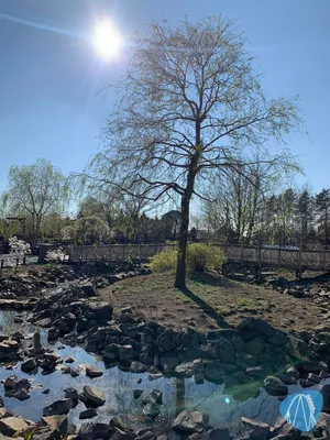 Foto aus Toverland von Sabi