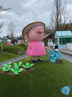 Foto aus Heide Park von Fynn