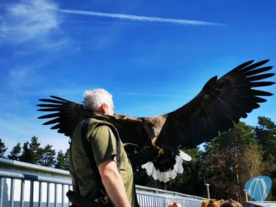 Foto aus Bayern-Park von Kurenai